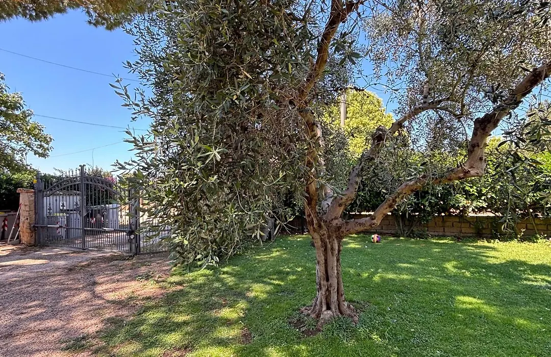Podere 406-1